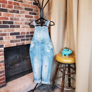 H&M Ripped Jeans Denim Overall Women Size 4 (36)